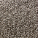 Ковролин Jacaranda Carpets Rajgarh Dappled Brown  | FLOORDEALER